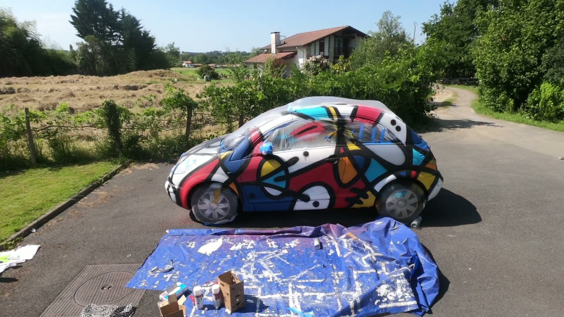 Art Car, still 4