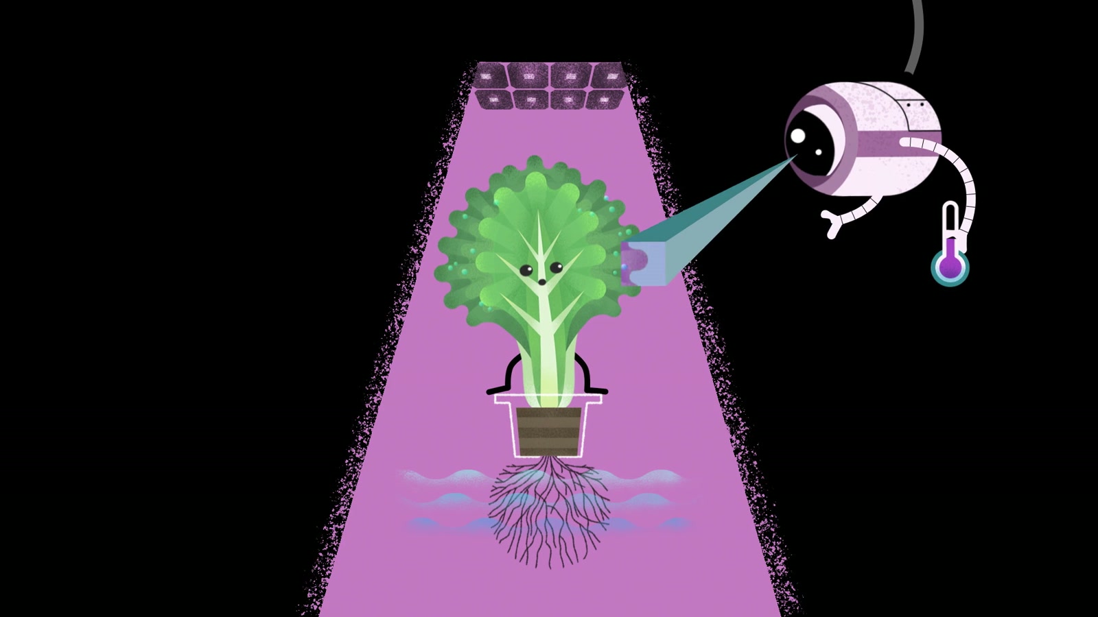 80 Acres - Plantopia, still 3