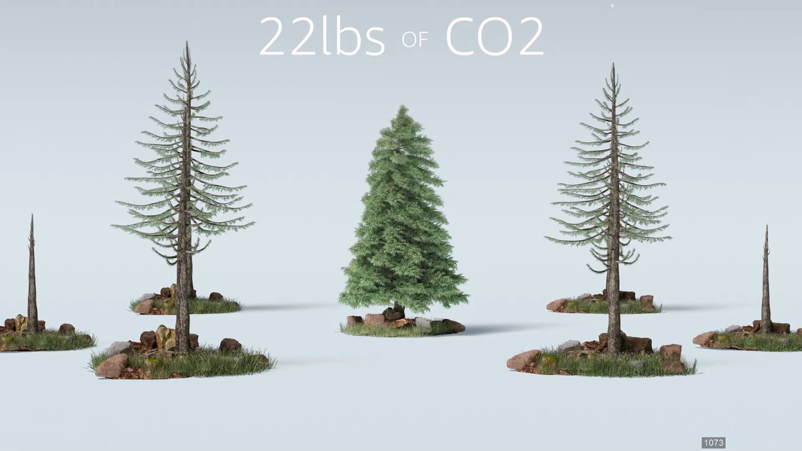 Amazon - Plant a Tree, still 1