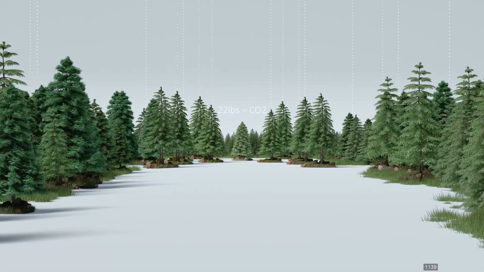 Amazon - Plant a Tree, still 2
