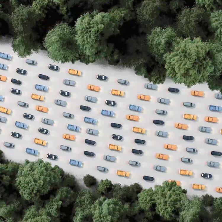 Amazon - Plant a Tree, still 5
