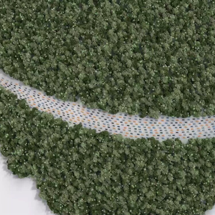 Amazon - Plant a Tree, still 6