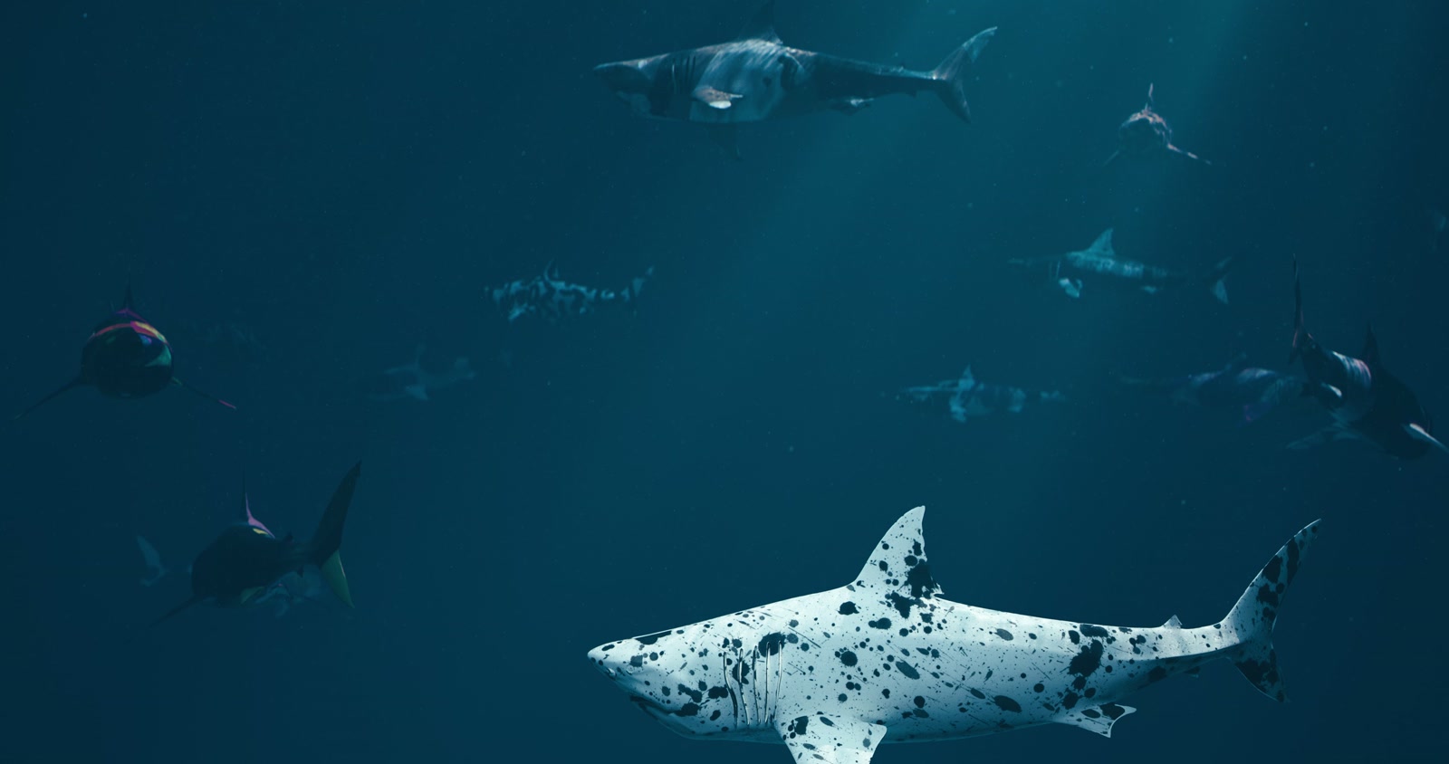 Sharks - Art - Gallery, still 1