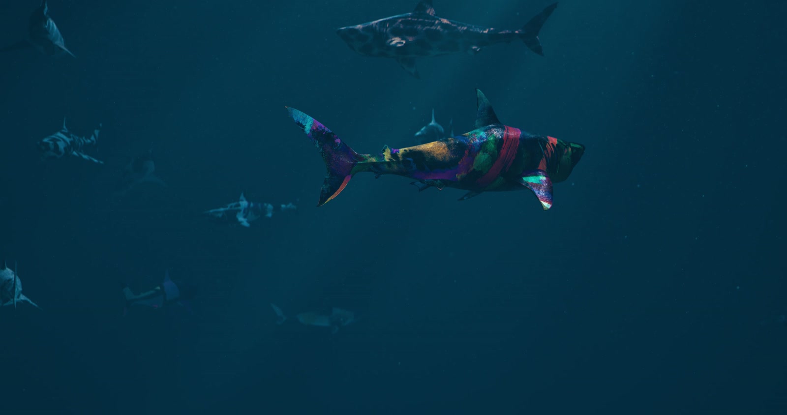 Sharks - Art - Gallery, still 4
